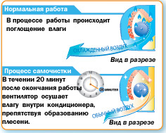 самоочистка