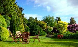 Сфера застосування