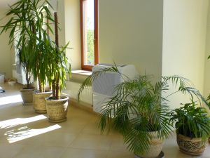 Осушувач повітря