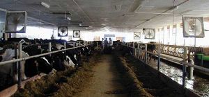 Вентиляция