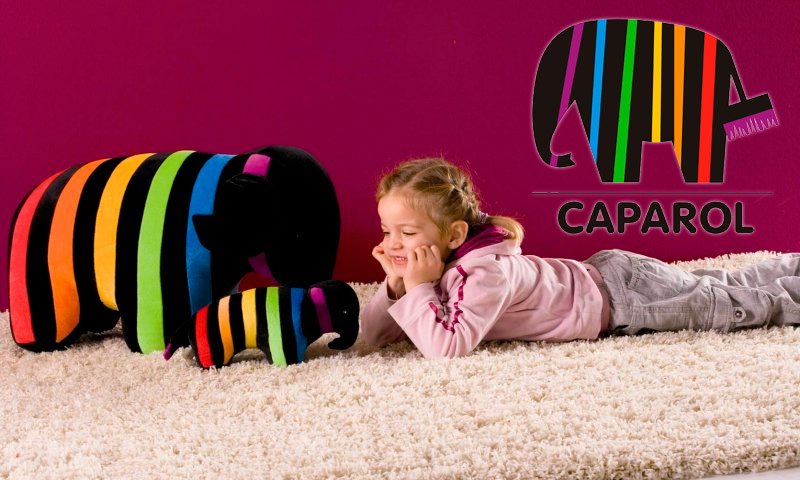 Краска Сaparol.jpg