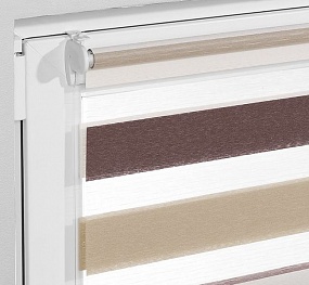 триколор -01.jpg