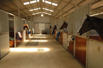 Конюшня общий вид