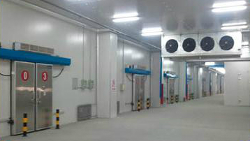 Осушители MYCOND MFFZ, MFLZ для холодильных камер: потолочная установка