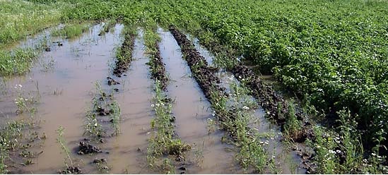 Переувлажнение территории