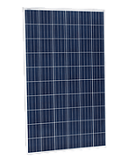 Полікристалічний модуль Jinko Solar Eagle PERC 60 JKM300M-60