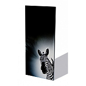 Сомалійська ніч