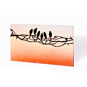 Неразлучники